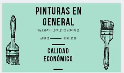 Pintor economico Anuncios de servicios con ofertas y baratos en Granada  Provincia | Milanuncios