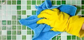 Vaporeta limpieza hogar suelo Ofertas de empleo y trabajo de