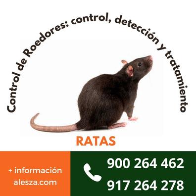 Ratas Desinfección hogares y locales y con Sevilla | Milanuncios