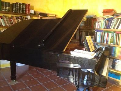 Albany Novia Grado Celsius Piano Profesores y clases particulares en Tenerife | Milanuncios