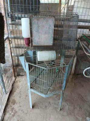 Rebobinar flota dólar estadounidense Jaulas conejos Mascotas en adopción y accesorios de mascota de segunda mano  baratos en Murcia | Milanuncios