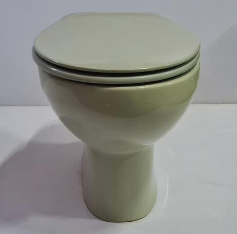 Milanuncios - Taza inodoro Roca Victoria color verde