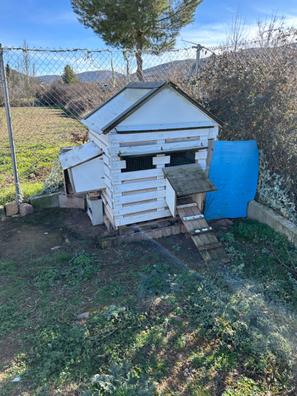 Gallinero Calgary para gallinas de puesta, con 4 ponederos