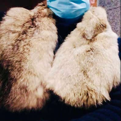 Estola piel Ropa, y moda de mujer de segunda mano | Milanuncios