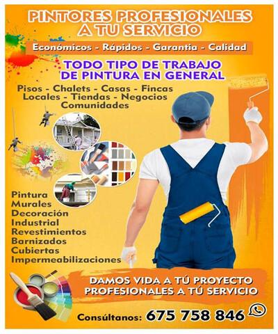 Milanuncios - Pintor Profesional Económico