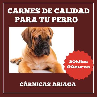 Disco Ardiente Revolucionario Carne para perros Mascotas en adopción y accesorios de mascota de segunda  mano baratos | Milanuncios