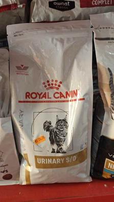 Pienso royal canin Mascotas en adopción y accesorios de mascota de segunda  mano baratos