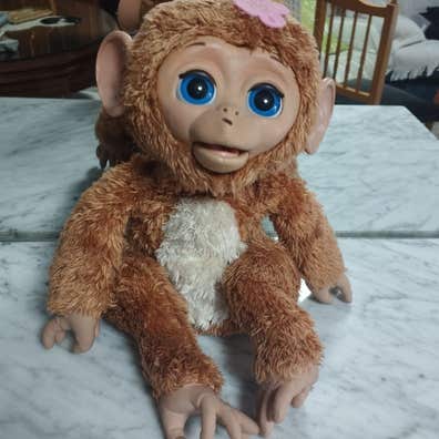 Mona monita de segunda mano Milanuncios