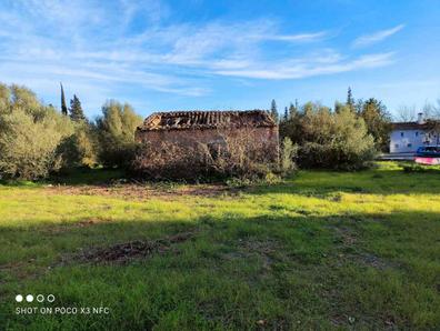 Arboles frutales Fincas rústicas en venta en Madrid. Comprar y vender  fincas | Milanuncios