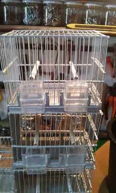 Jaulas angel Mascotas en adopción y accesorios de mascota de segunda mano baratos | Milanuncios
