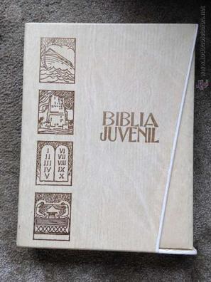 La Santa Biblia Completa Católica Large Print : con El Antiguo y El Nuevo  Testamento en Español: Santa Biblia Reina Valera Antiguo y Nuevo Testamento