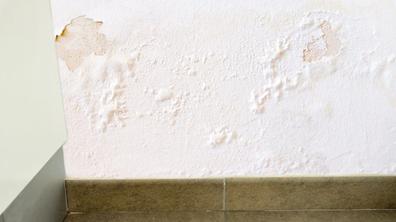 Cómo pintar una pared con humedad? - Pintor Zaragoza【PRESUPUESTO GRATUITO】