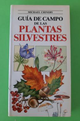 Pegatinas decorativas naturaleza herbario de plantas silvestres