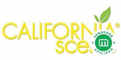 Pack 12 - California Car Scents: Ambientador de Coche con Fragancia. Olor y  Esencias a Coronado Cherry. Olor Piruleta de Cereza (Lata 42g)