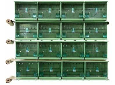 Milanuncios Jaulas de para canarios