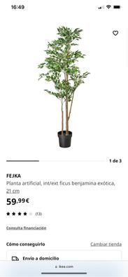 Vendo plantas artificiales Plantas de segunda mano baratas | Milanuncios