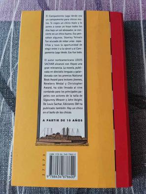 Hoyos (El barco de vapor) (Spanish Edition)