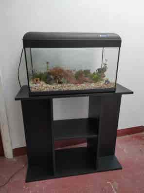 Mueble acuario Compra venta de peces, acuarios, peceras y accesorios | Milanuncios