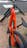 Milanuncios - Rockrider E-EXPL 520 S