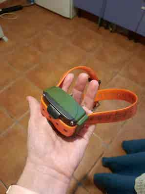 Artículos de caza en Salamanca | Milanuncios