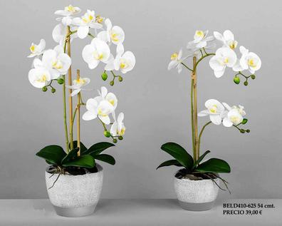 Plantas artificiales Muebles, hoghar y jardín de segunda mano barato |  Milanuncios