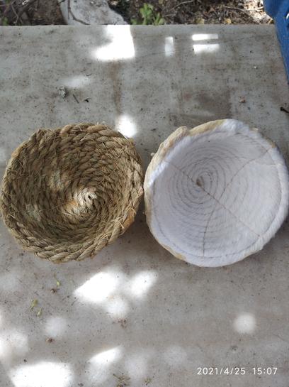NIDO Y PORTANIDOS