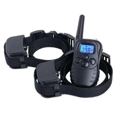 adiestramiento perros Artículos accesorios de caza