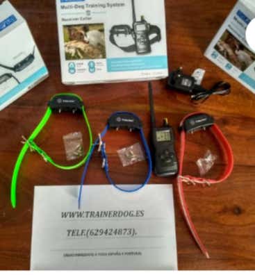 Cambio collar adiestramiento Mascotas en adopción y accesorios de mascota de segunda baratos | Milanuncios