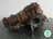 Milanuncios - GRUPO NISSAN pathfinder r51