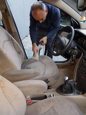 Limpieza tapiceria coches Anuncios de servicios con ofertas y baratos en  Murcia Provincia