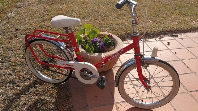 Bici plegable niño hot sale