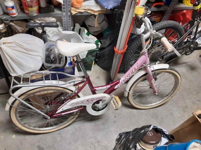 Milanuncios - Bicicleta niña 24 pulgadas