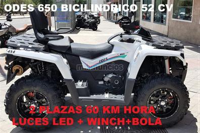 Quads 650 de segunda mano y ocasión en Madrid Provincia | Milanuncios