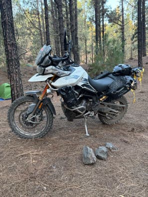 Triumph - Tiger 900 Rally Pro