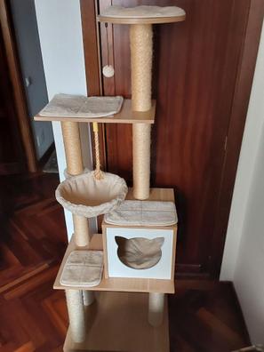 Comprar Marco de escalada para gatos, escalera de madera maciza montada en  la pared, tablero de cuerda de Sisal, escaleras para escalar, poste  rascador para gatos, hamaca para gatos