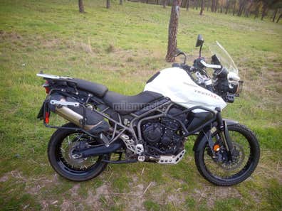 Triumph Tiger