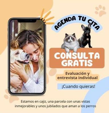 Regalo velez Mascotas adopción y accesorios mascota segunda mano baratos en Málaga Provincia |