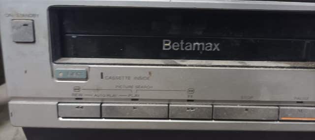 Milanuncios - REPRODUCTORES BETA