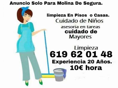 Precio 6 euros hora Empresas de limpieza y limpiadores baratos y con  ofertas en Murcia Provincia | Milanuncios