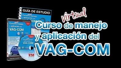 VCDS: Codificación