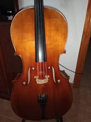 Estuche violonchelo Instrumentos musicales de segunda baratos Milanuncios