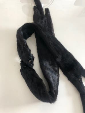 Estola Moda y complementos de segunda mano | Milanuncios