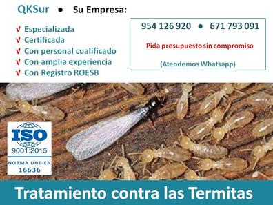 Tratamiento de termitas Desinfección de hogares y locales barato y oferta Milanuncios