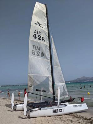 catamaran hobie cat segunda mano