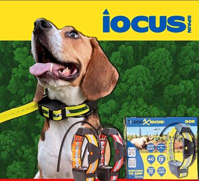 Collar GPS perros Iphone / Android Localizador mascotas sumergible