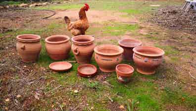 Macetas de barro de segunda mano en Baleares Provincia Milanuncios