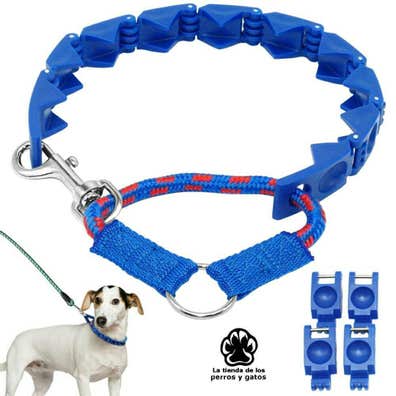 Collar de perro Mascotas en adopción y accesorios de mascota de segunda