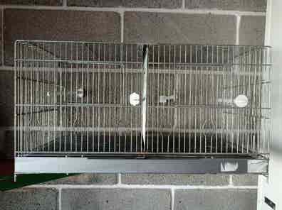 Jaulas cria pajaros. para comprar y vender de segunda mano | Milanuncios