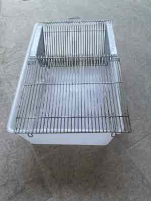 Jaulas para ratas Mascotas adopción y accesorios mascota de segunda mano Milanuncios