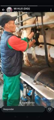 Milanuncios - CHICO RUMANO BUSCA TRABAJO EN GANADERIAS